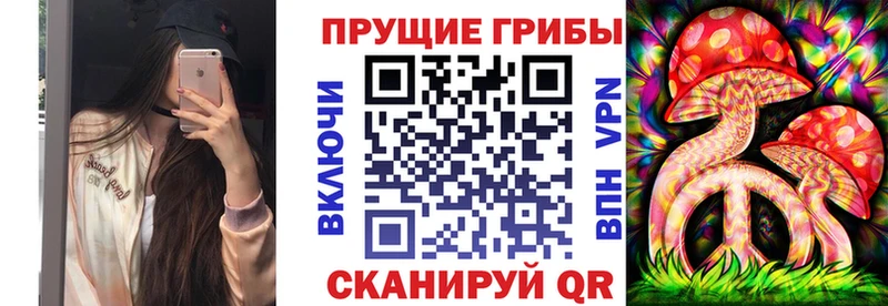 МЕГА маркетплейс  Талица  Псилоцибиновые грибы Psilocybe 